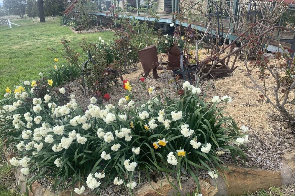 Photo of Outdoor in O'connell