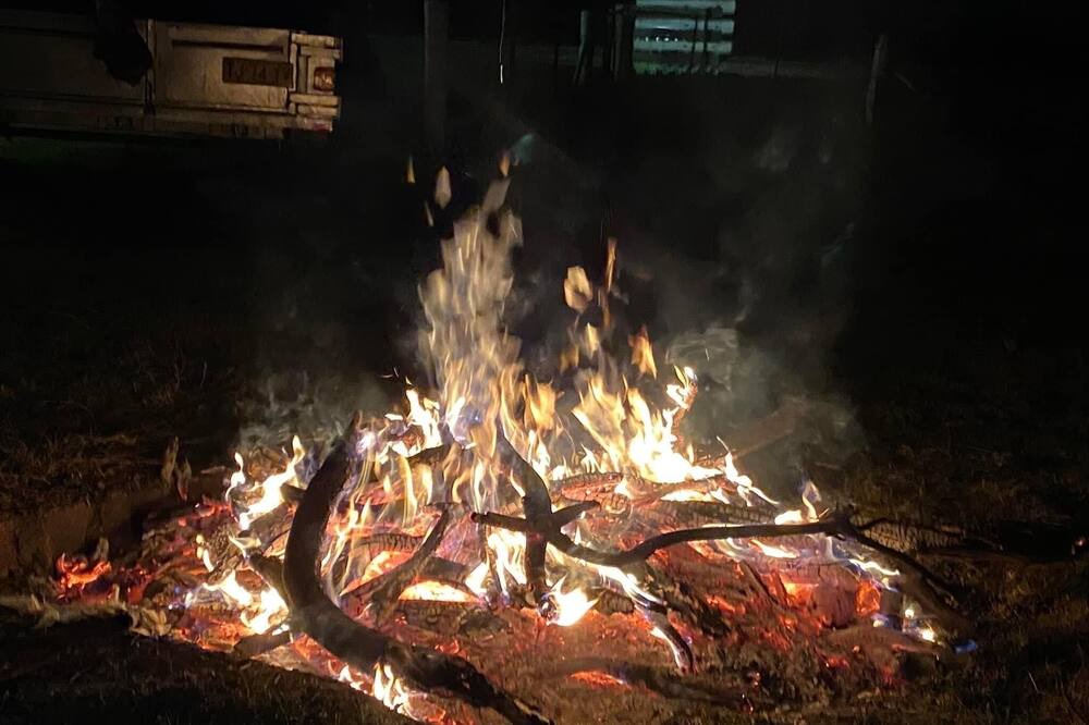 Photo of Outdoor in O'connell