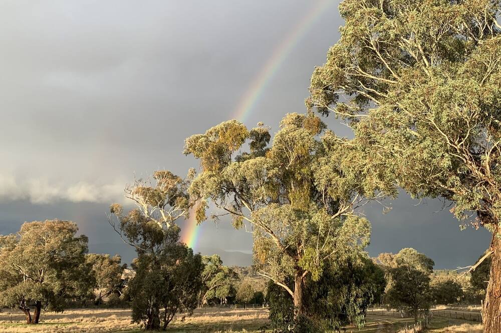 Photo of Outdoor in O'connell