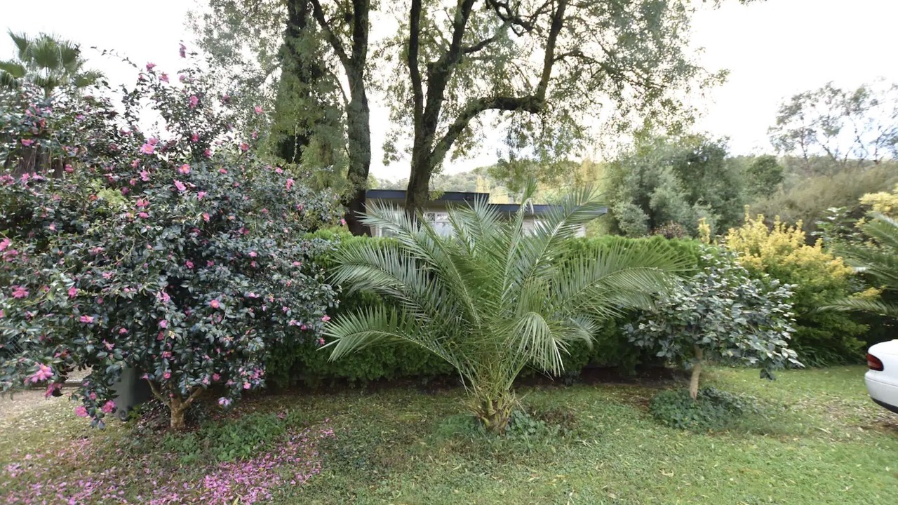 Photo of Outdoor in Ovens