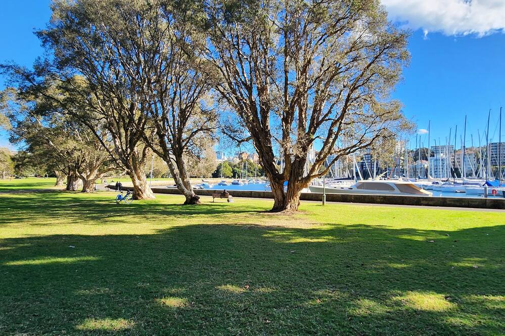 Photo of Others in Darling Point