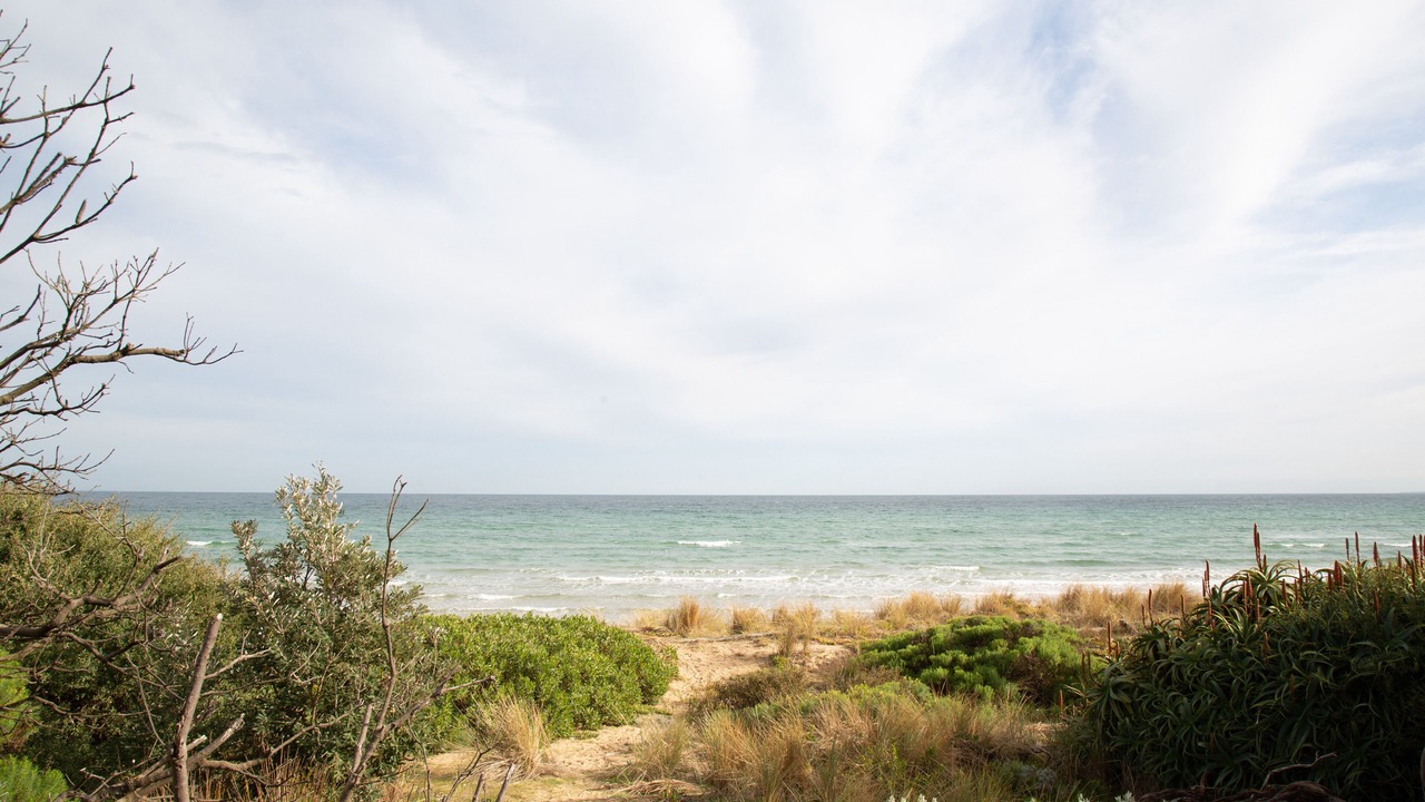 Photo of Others in Frankston
