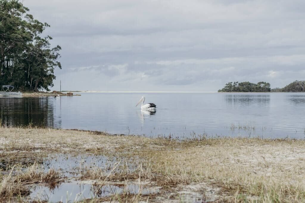 Photo of Outdoor in Smiths Lake