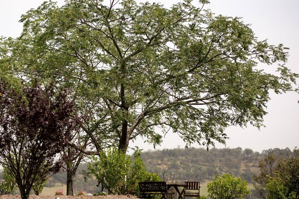 Photo of Outdoor in Lovedale