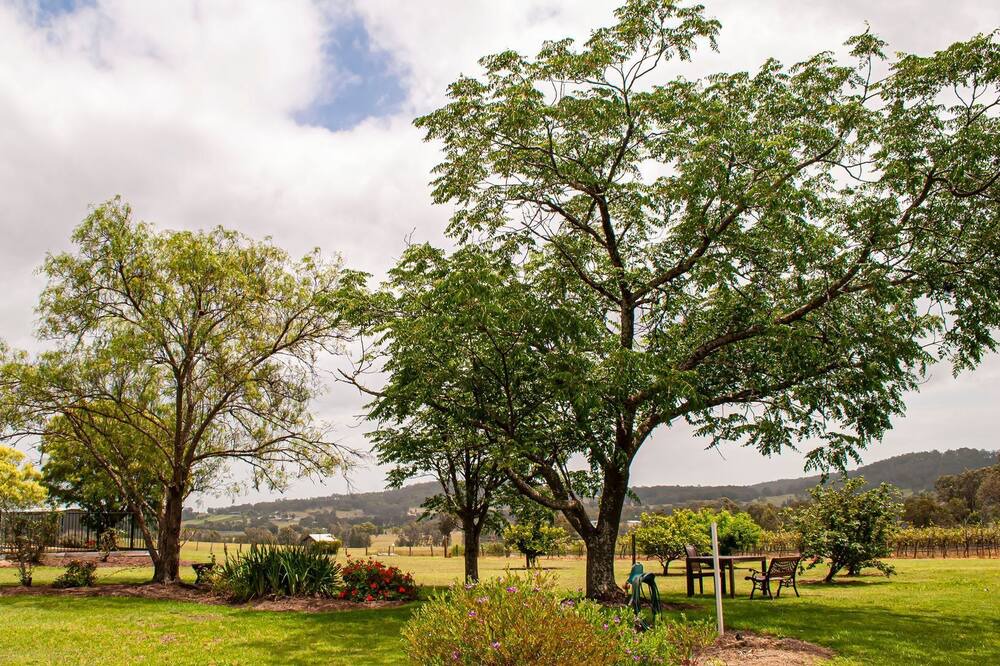 Photo of Outdoor in Lovedale