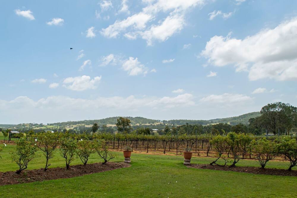 Photo of Outdoor in Lovedale