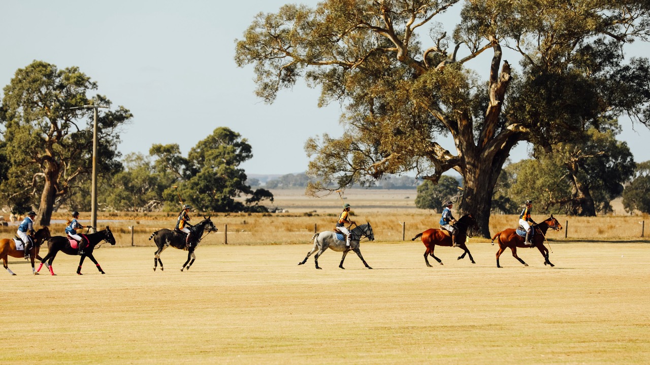 Photo of Others in Willaura