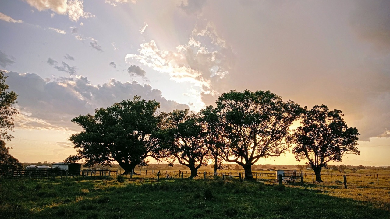 Photo of Outdoor in Yorklea
