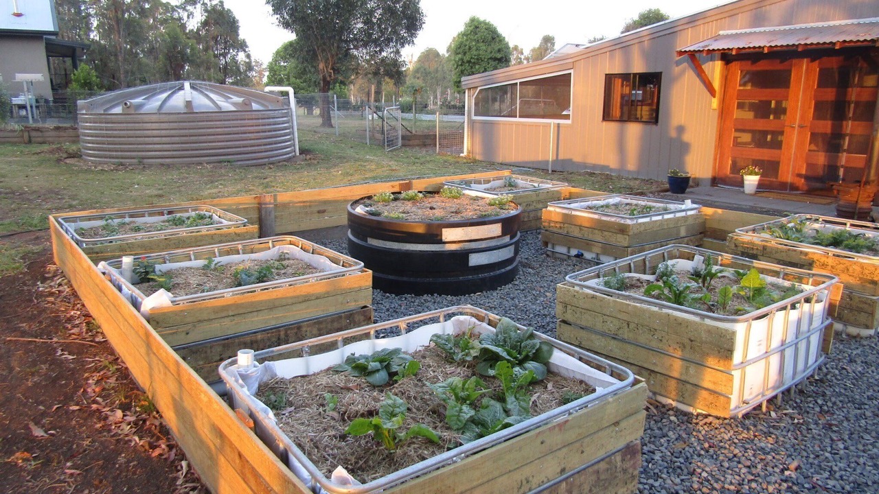 Photo of Outdoor in Yorklea
