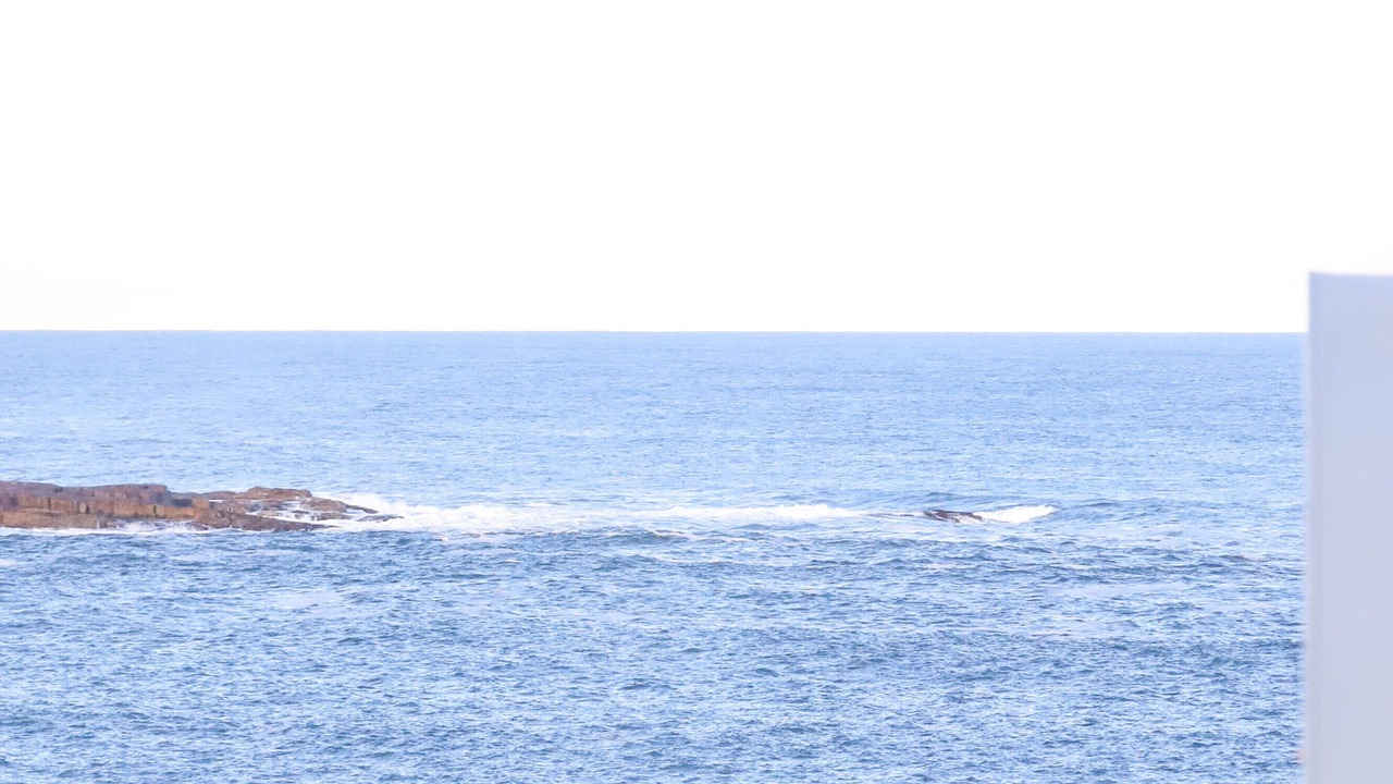 Photo of Others in Boat Harbour