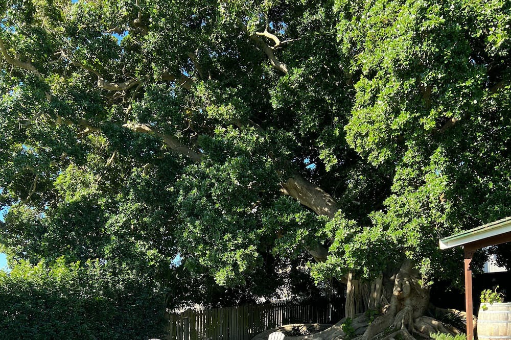 Photo of Outdoor in Hinton