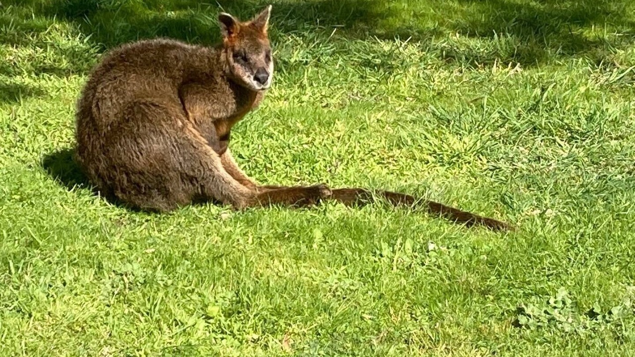 Photo of Outdoor in Rhyll