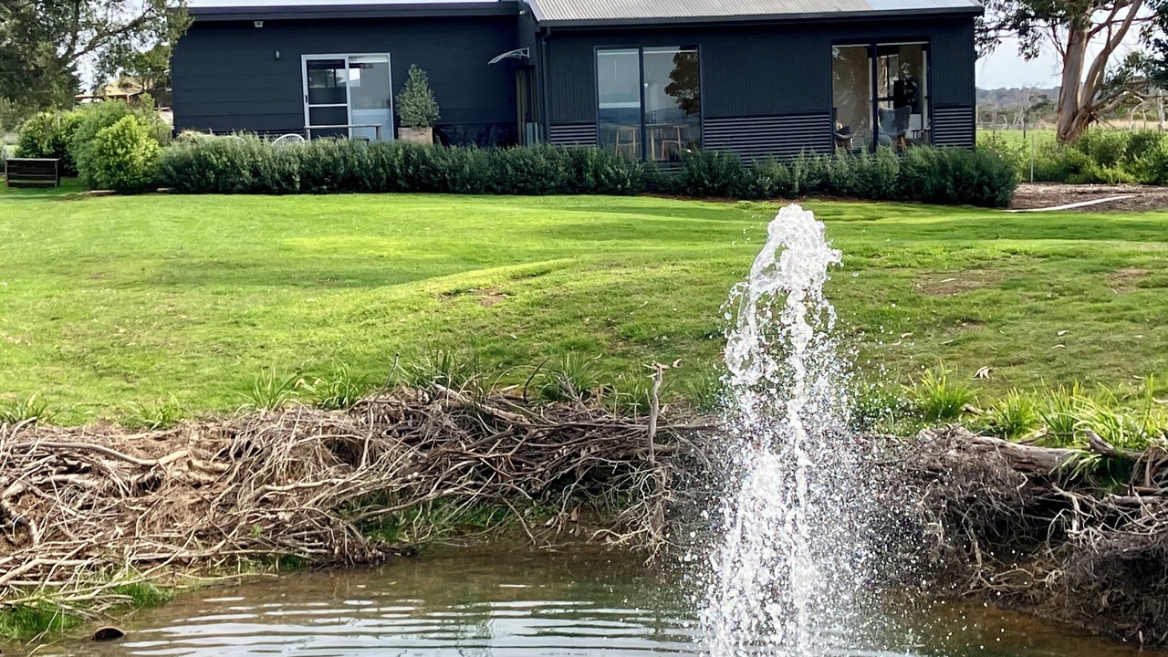 Photo of Outdoor in Rhyll