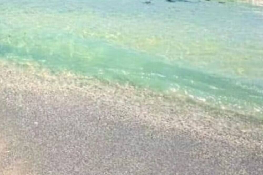 Photo of Others in Lauderdale
