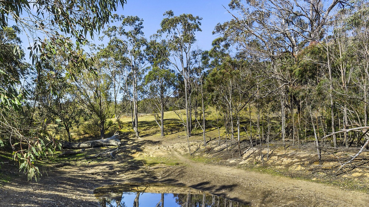 Photo of Outdoor in Canyonleigh