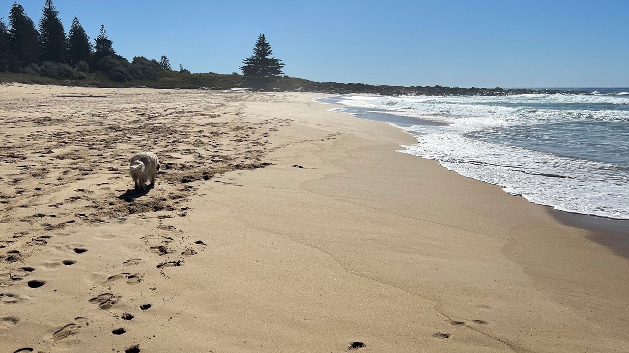 Photo of Others in Tuross Head
