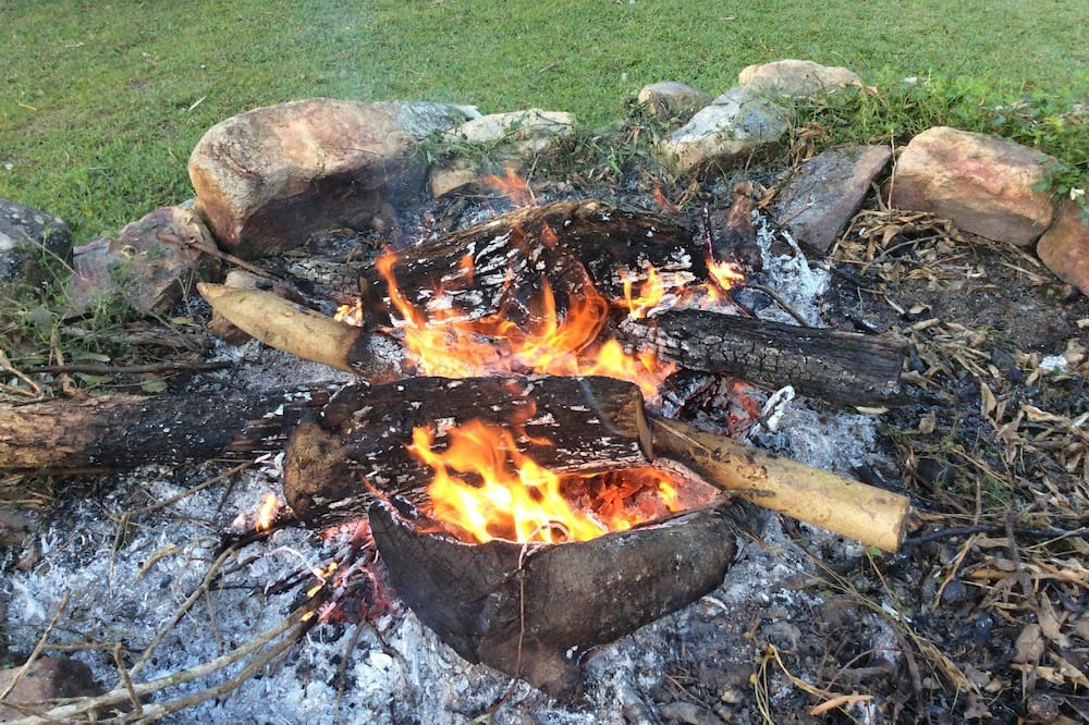 Photo of Outdoor in Cedar Pocket