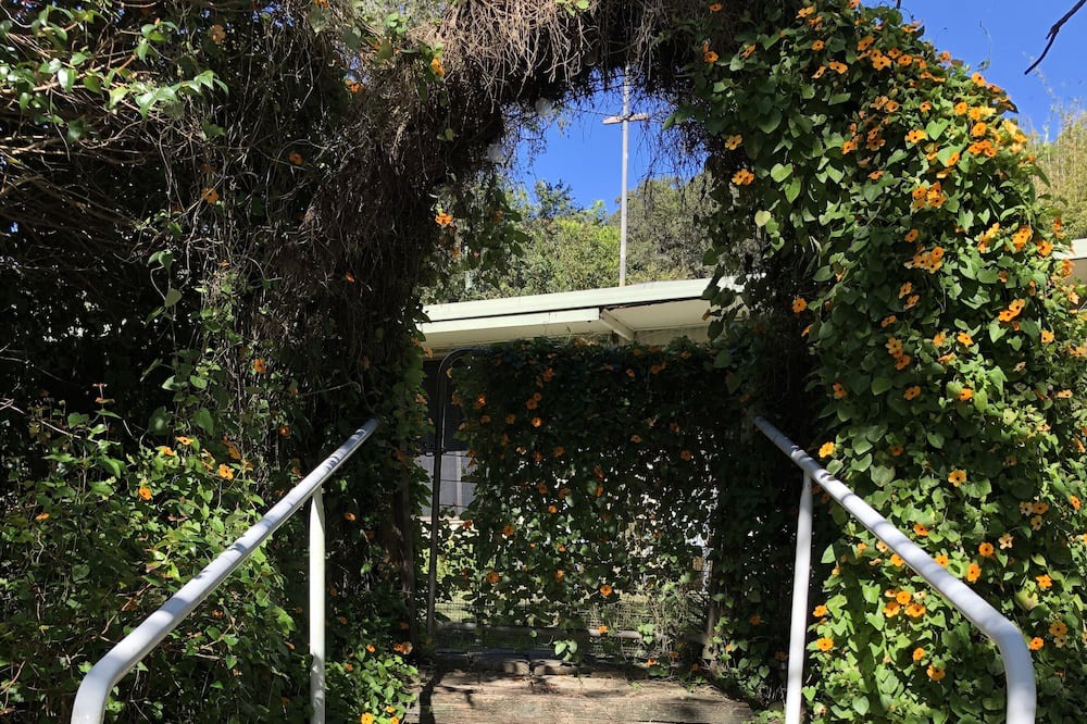Photo of Outdoor in Cedar Pocket