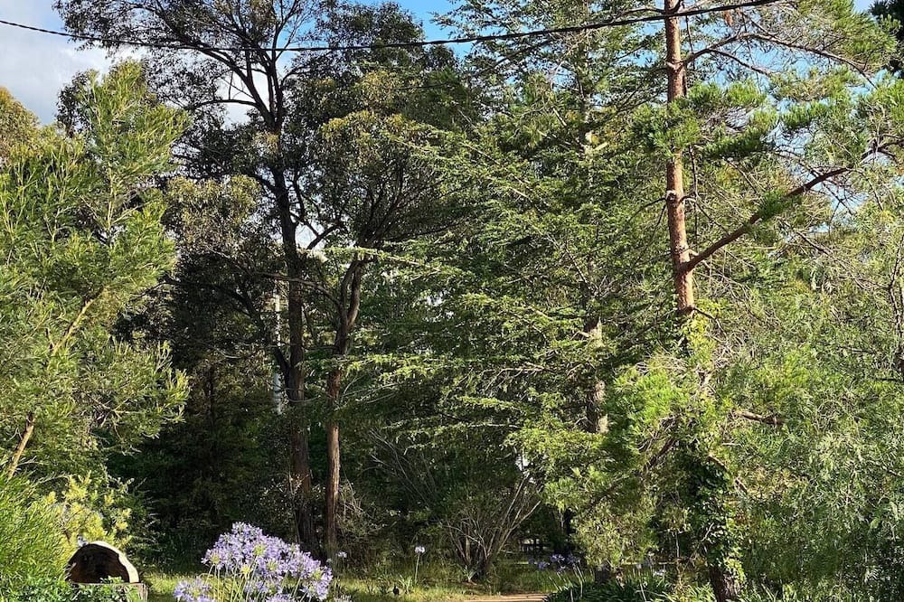 Photo of Outdoor in Canyonleigh