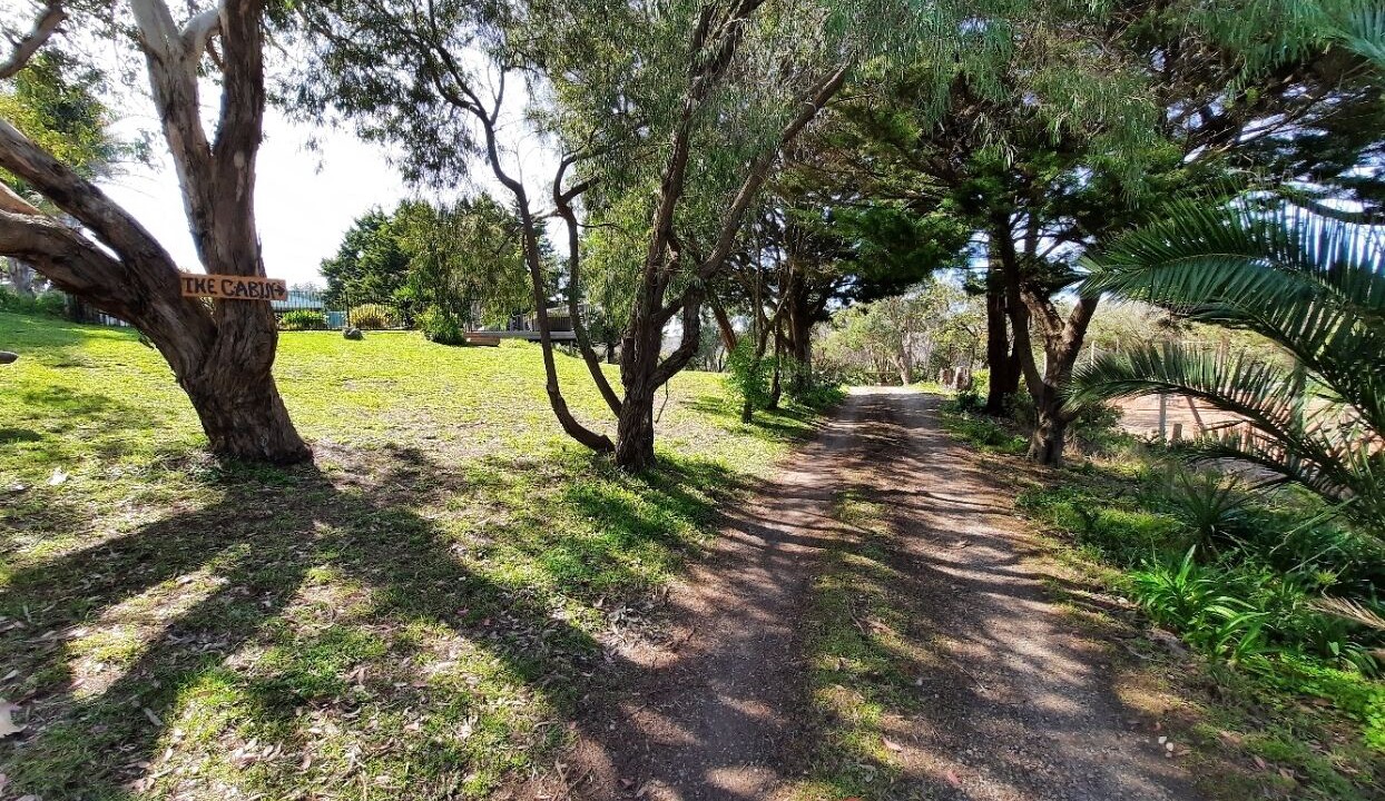 Photo of Outdoor in Fingal