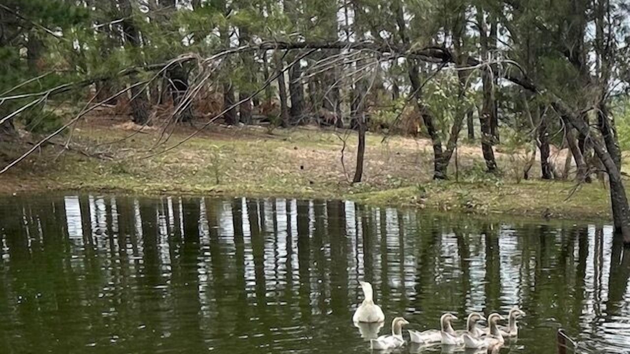 Photo of Outdoor in Brayton