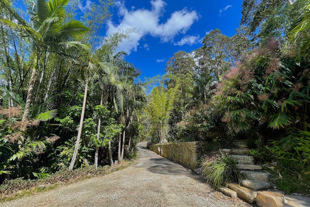 Photo of Outdoor in Uki
