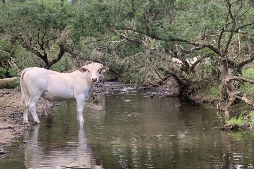 Photo of Outdoor in Bundook