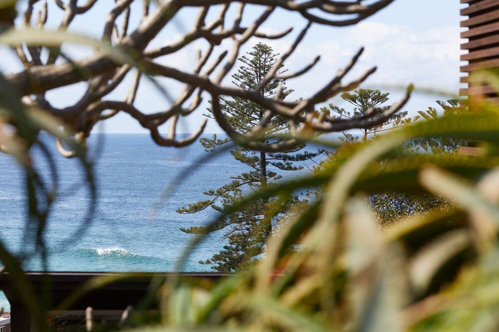 Photo of Others in Bronte