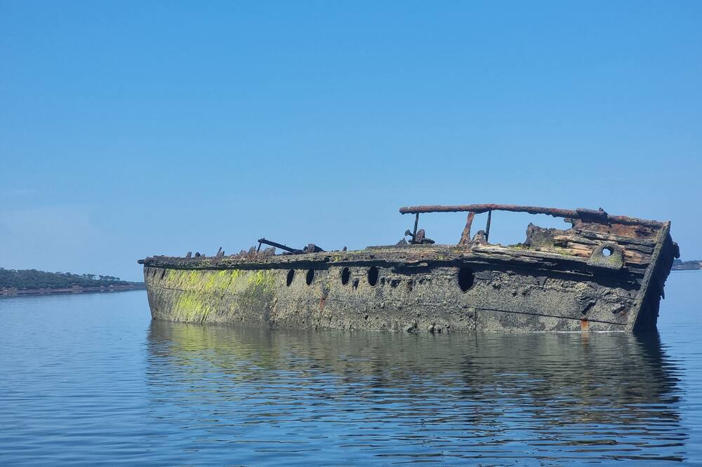 Photo of Others in Rhyll