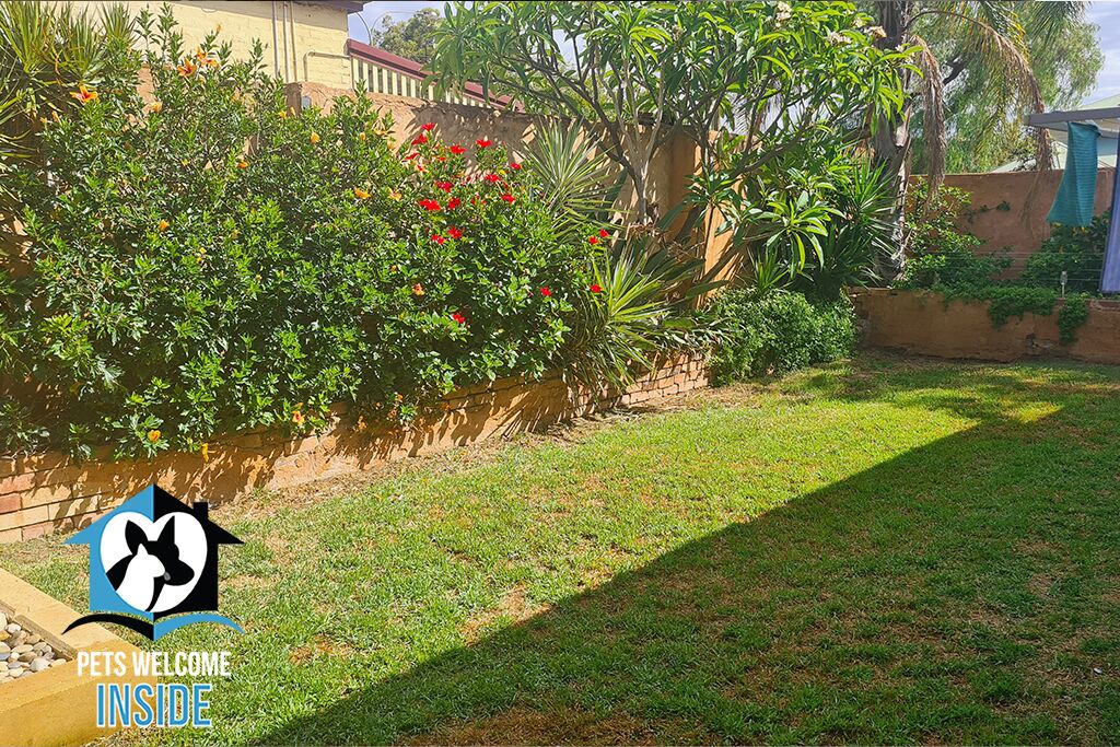 Photo of Outdoor in Lamington