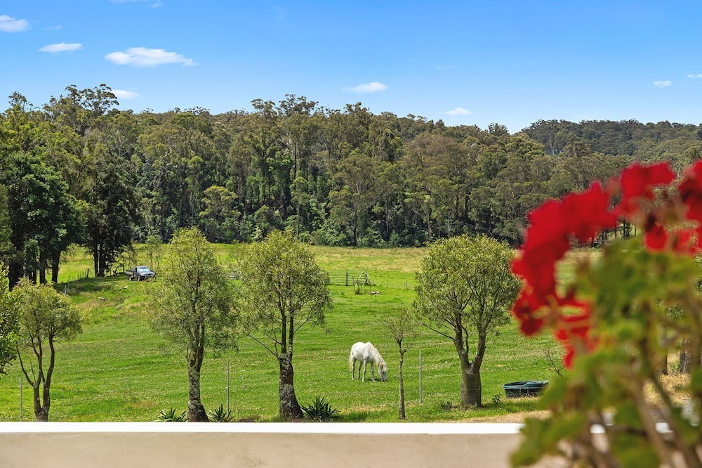 Photo of Outdoor in Conjola