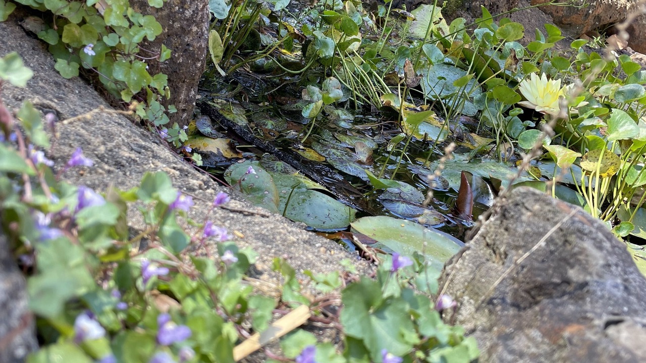 Photo of Outdoor in Yarra Glen
