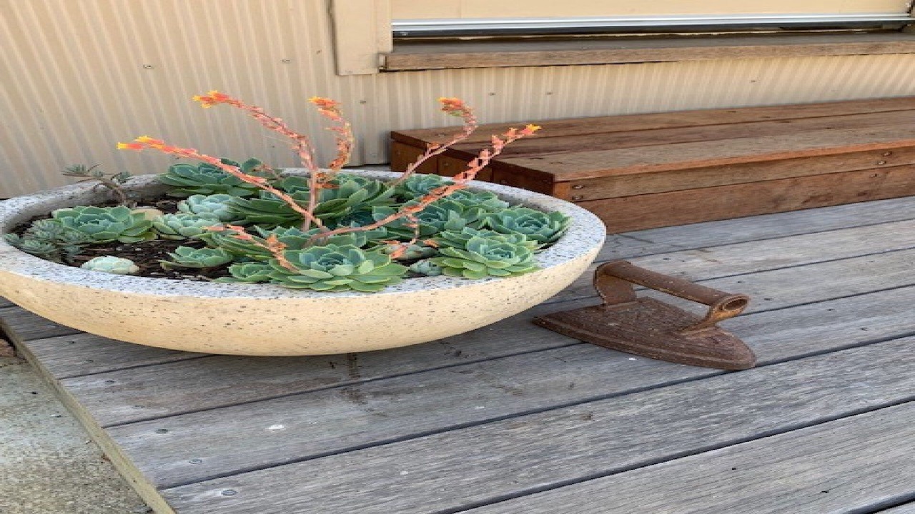 Photo of Outdoor in Armidale