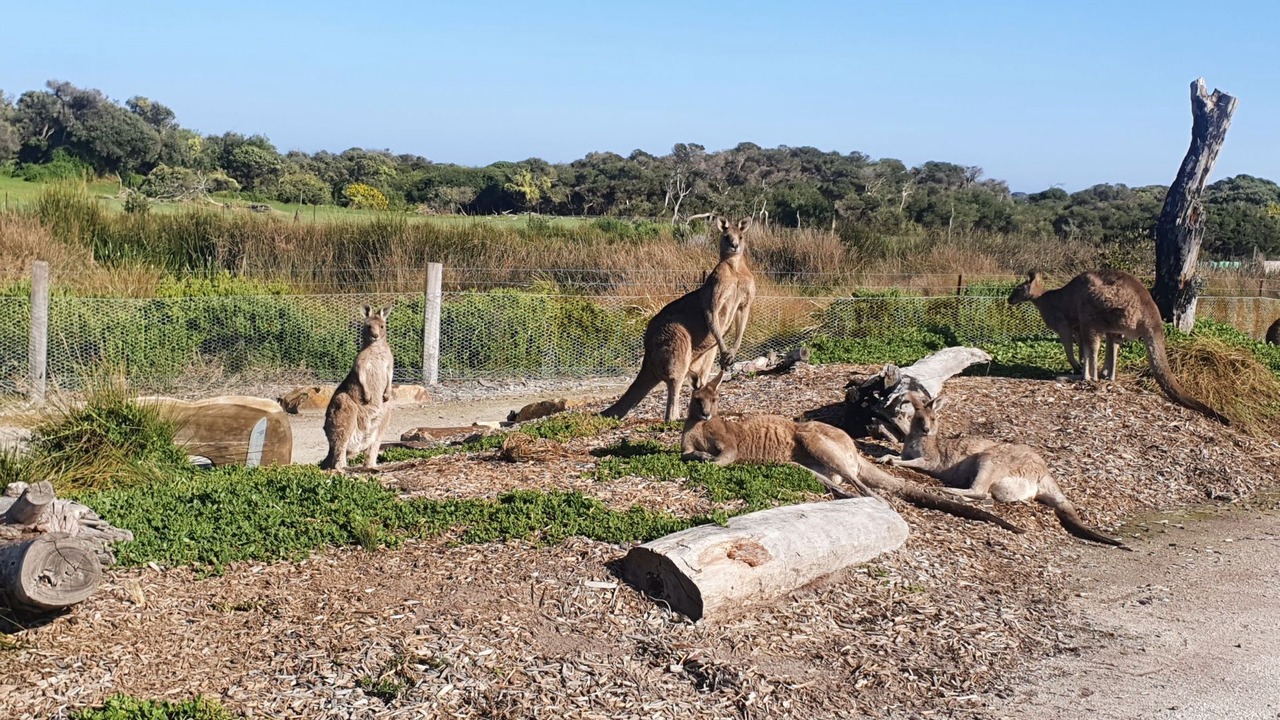 Photo of Outdoor in Cape Paterson