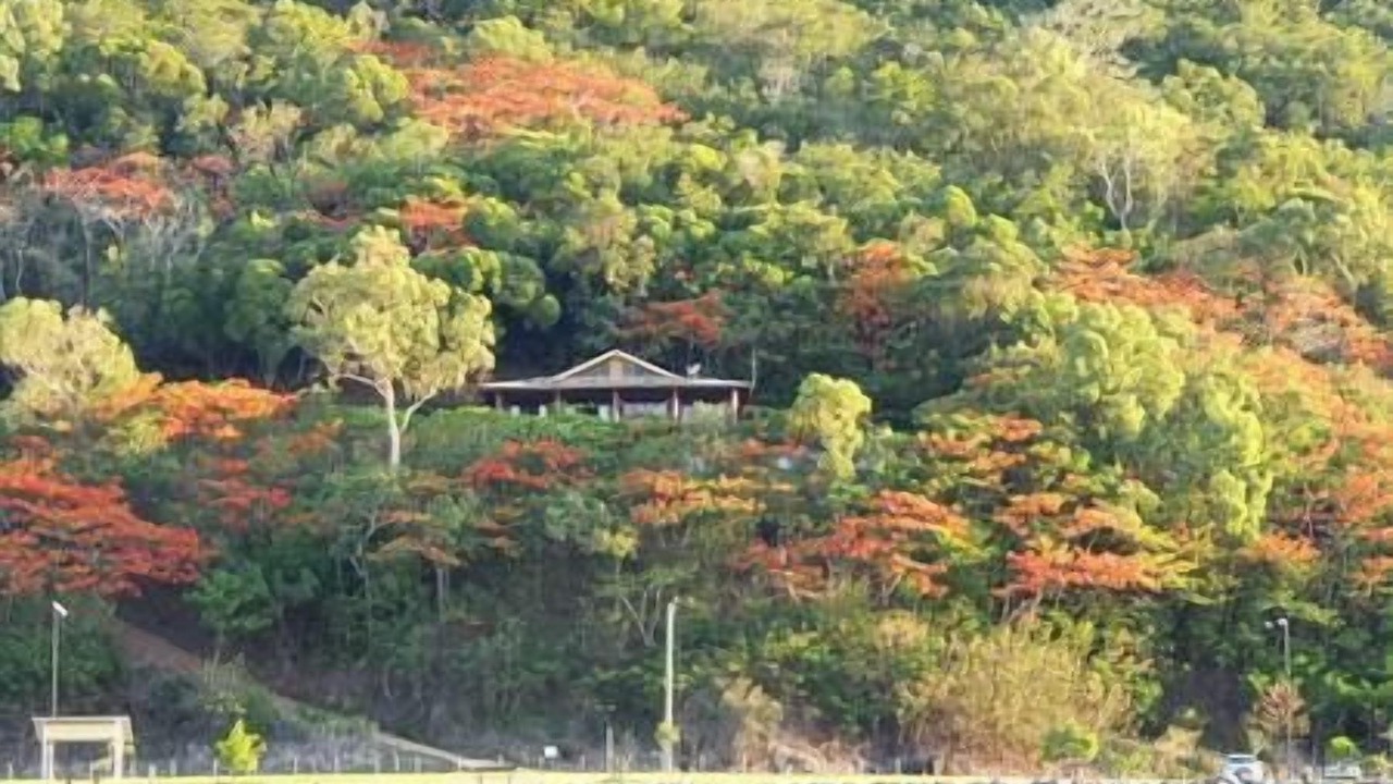 Photo of Outdoor in Cooktown
