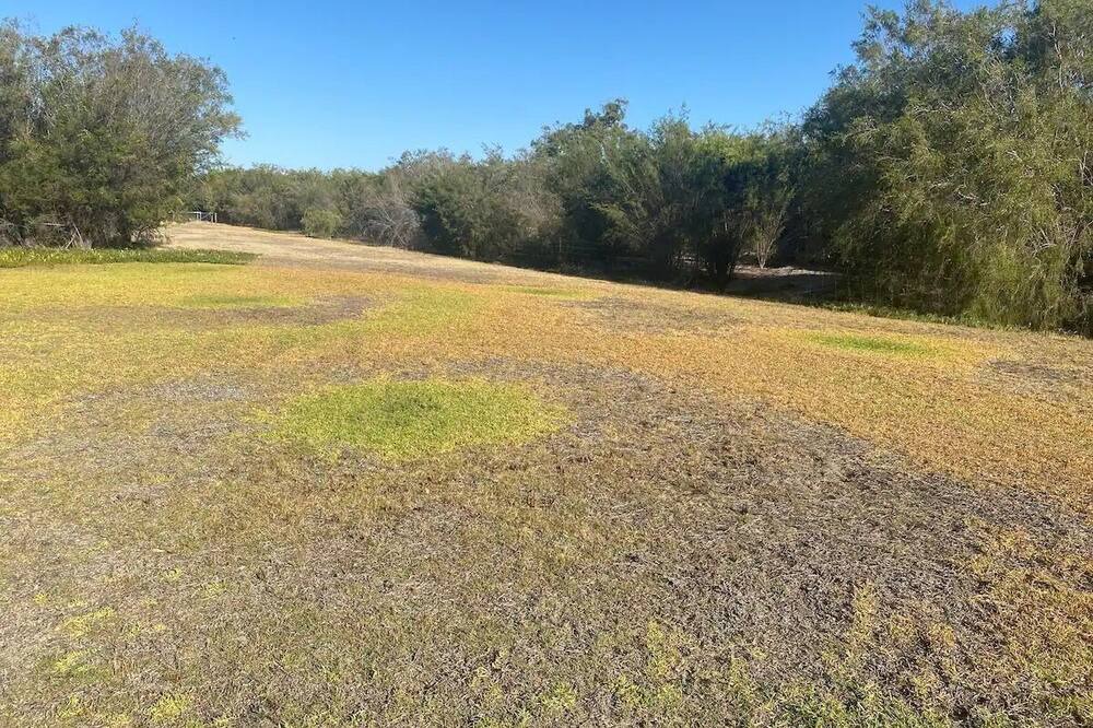 Photo of Outdoor in Perth