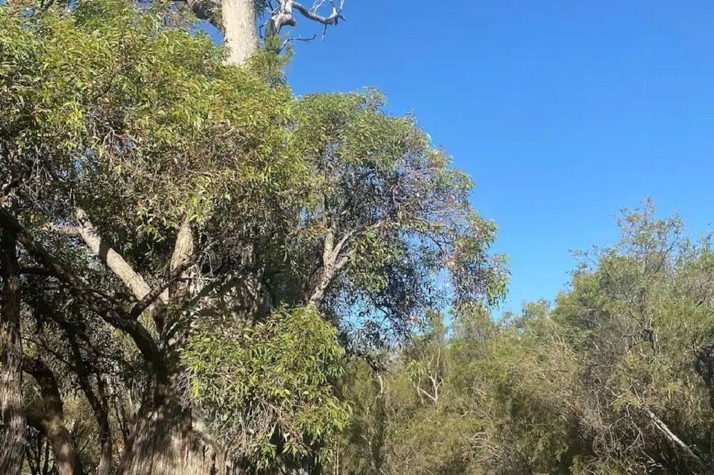 Photo of Outdoor in Perth