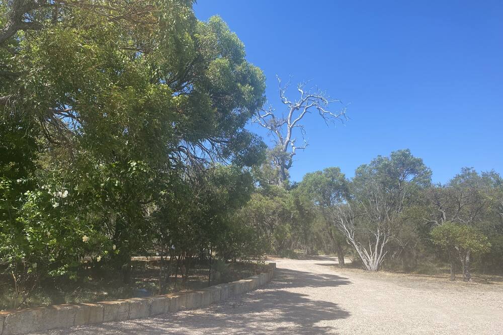 Photo of Others in Perth
