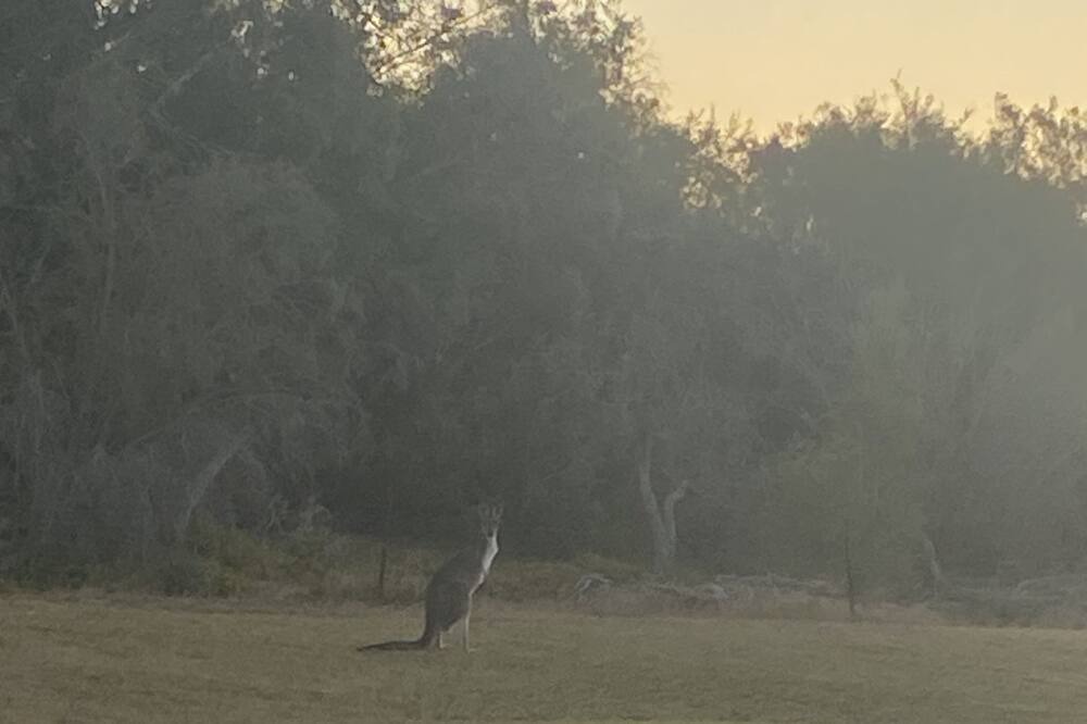 Photo of Others in Perth