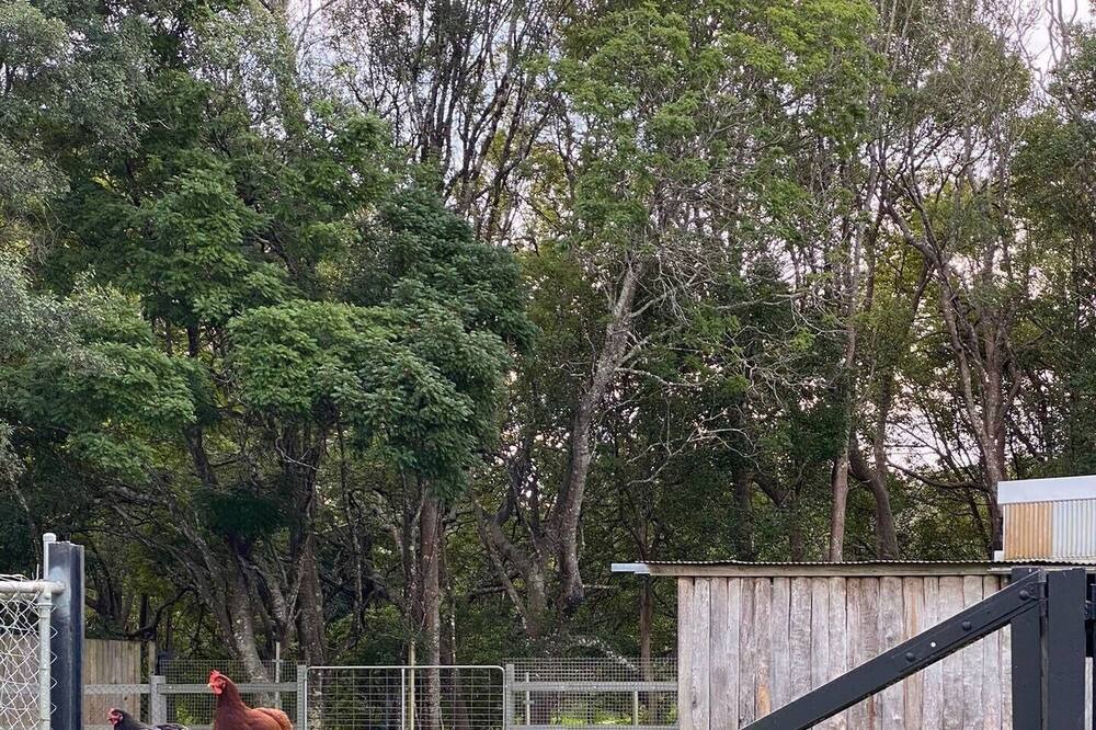 Photo of Outdoor in Middle Pocket