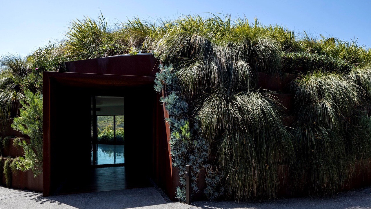 Photo of Outdoor in Sunshine Beach