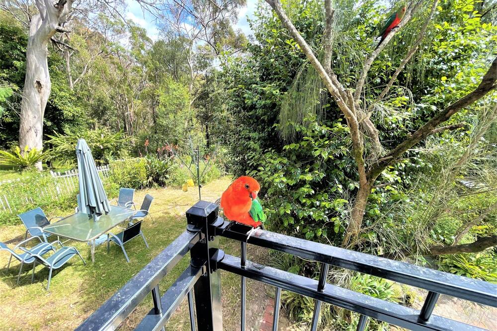 Photo of Others in Winmalee