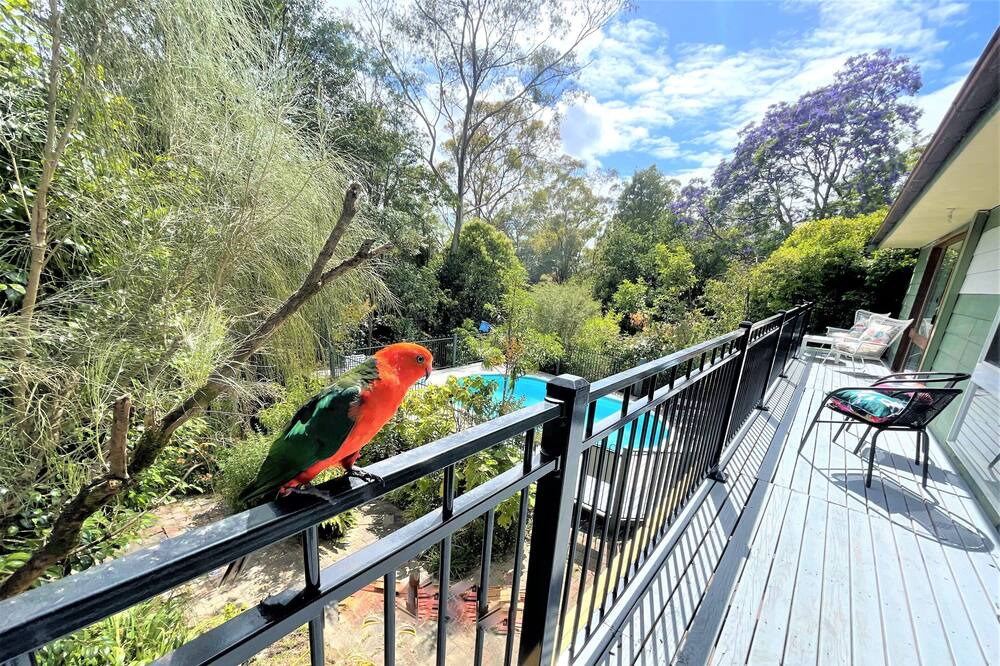 Photo of Others in Winmalee