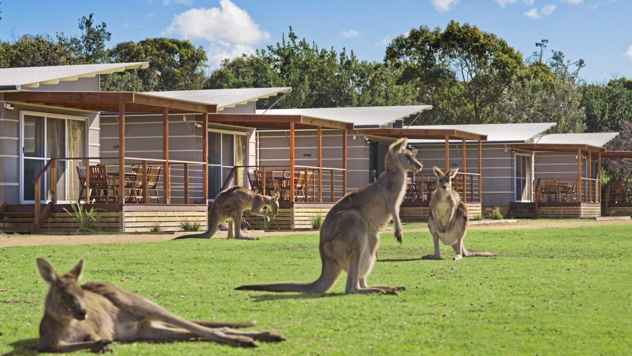 Photo of Outdoor in Pambula Beach