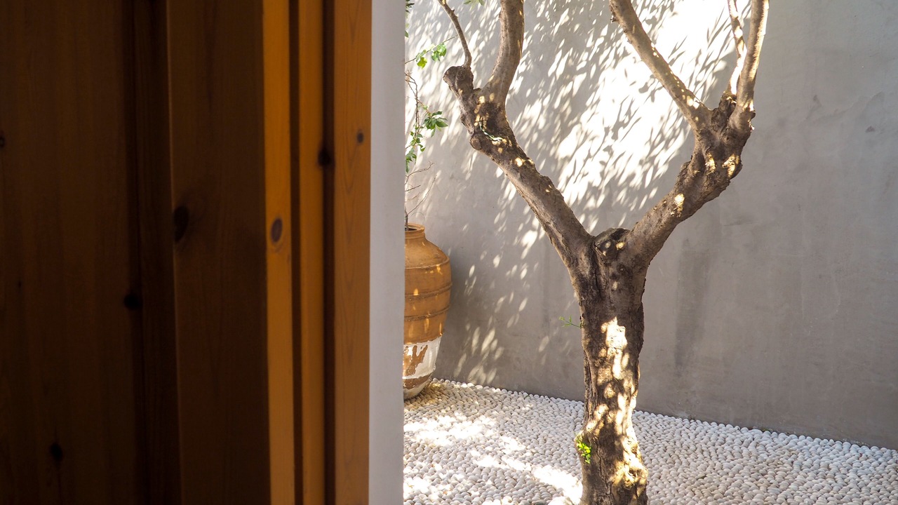Photo of Others in Rhodes Old Town