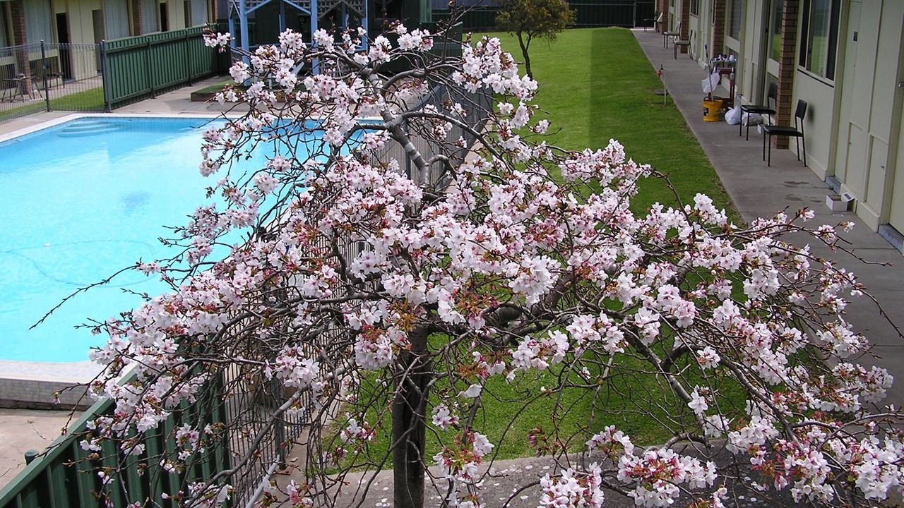 Photo of Outdoor in Mount Muirhead