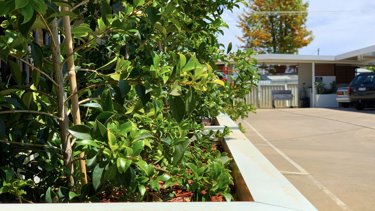 Photo of Outdoor in Moree