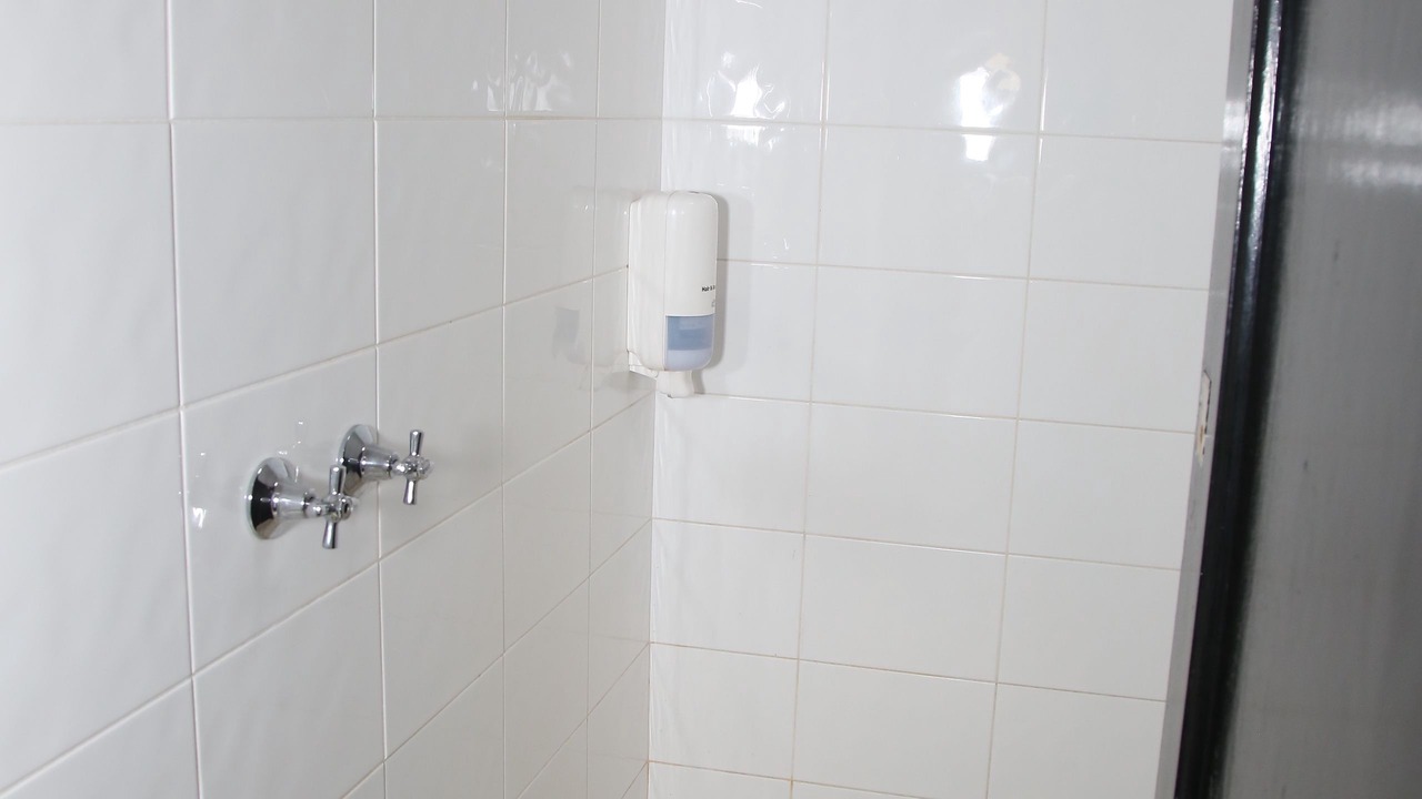 Photo of Bathroom in The Entrance