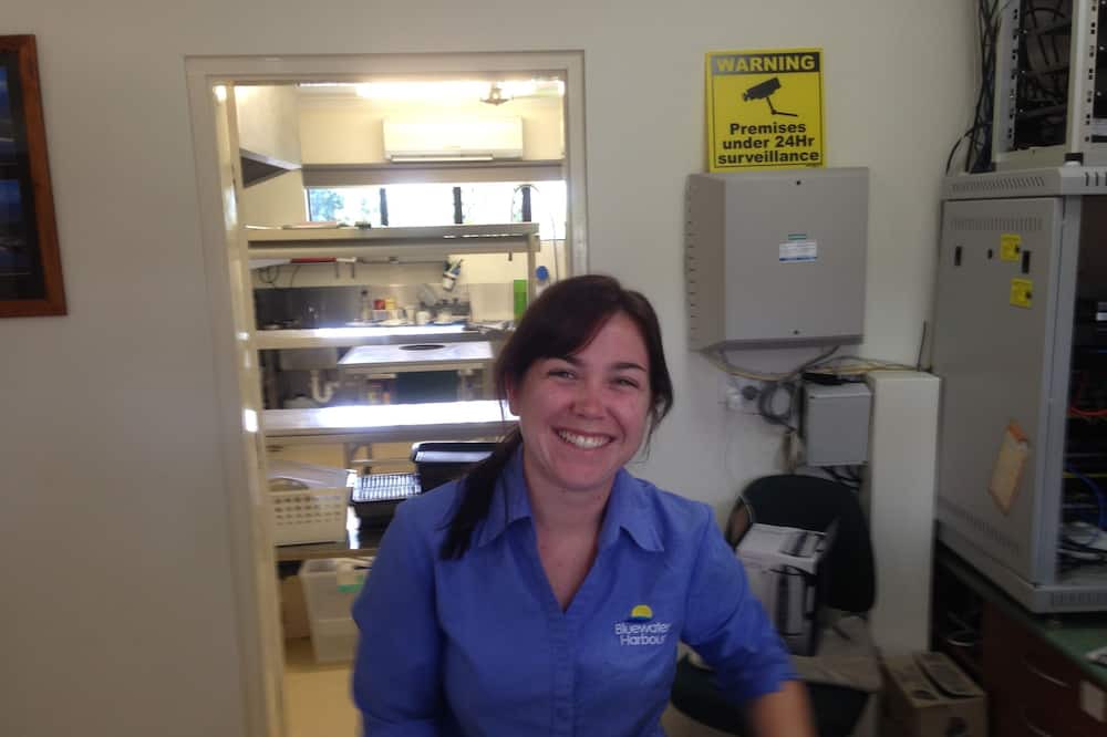 Photo of Others in Bowen