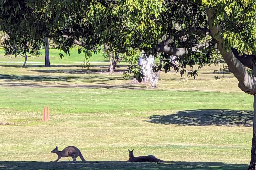 Photo of Others in Helensvale